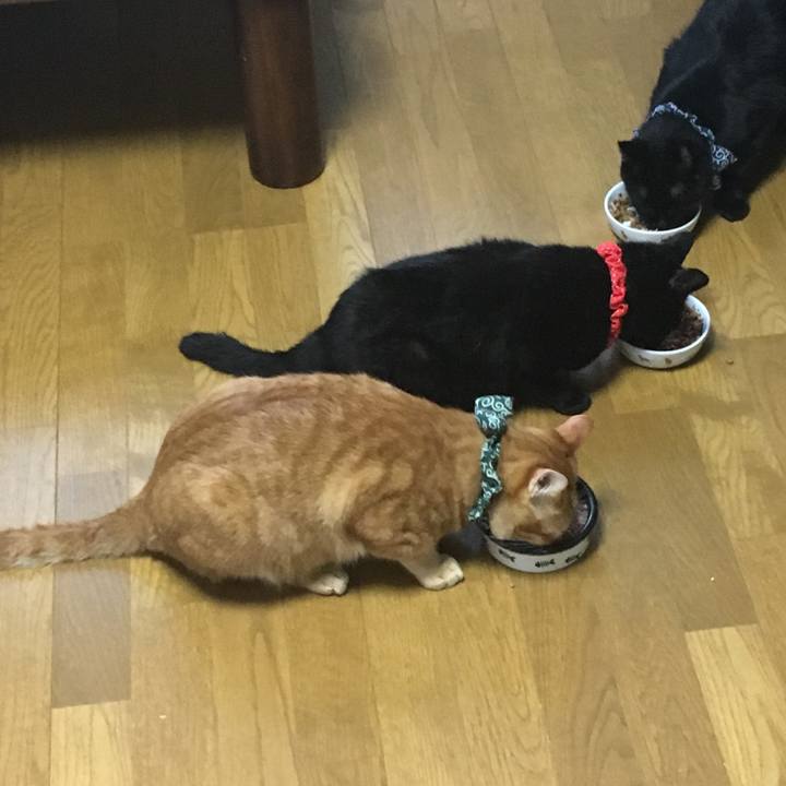 21ffd340 7347 46f3 a9a9 cad416815592 1536569946959