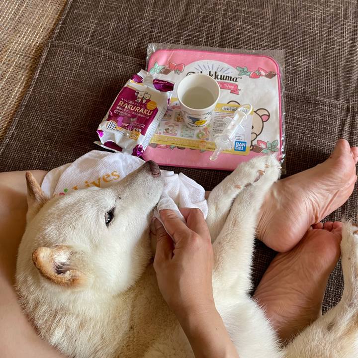 21ffd55b ecc7 4d6f a85a df18caf5b0e3 1659359987827