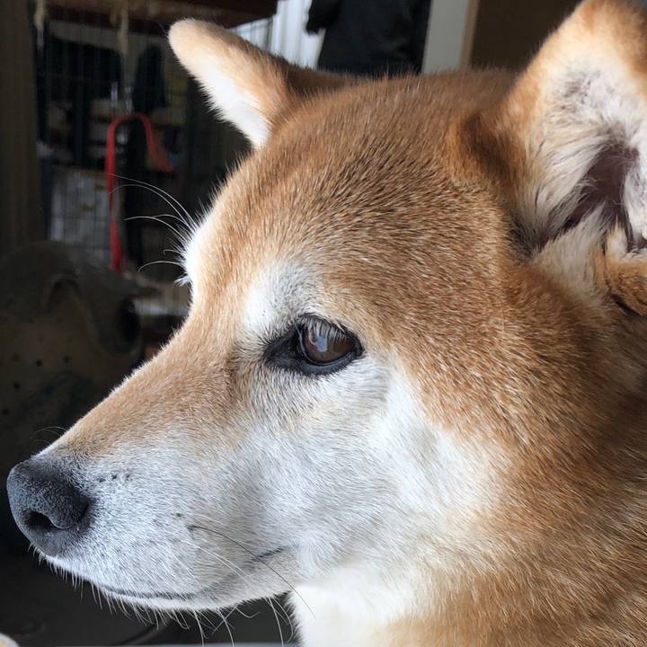 21ffea2e d7de 4e64 add9 a7966492a8b3 1742017019540