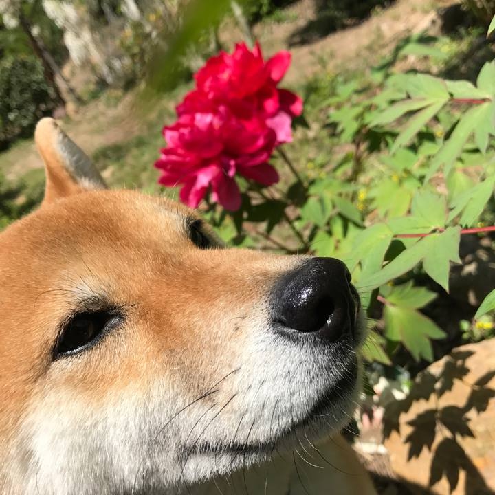 21ffff1e c14d 4218 a0d1 87de33c57b7e 1524285458531