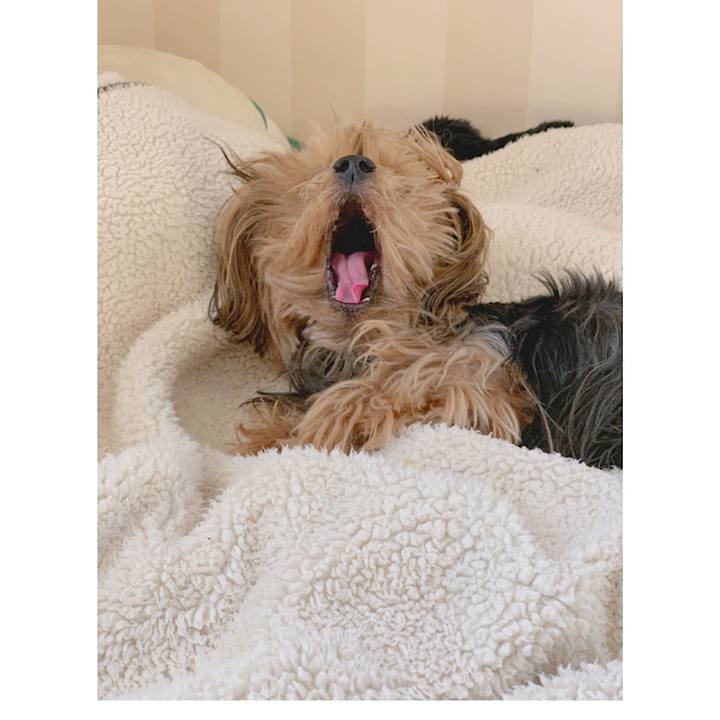 22001719 22f4 4cee 91c2 a188d5370c4d 1555710369305