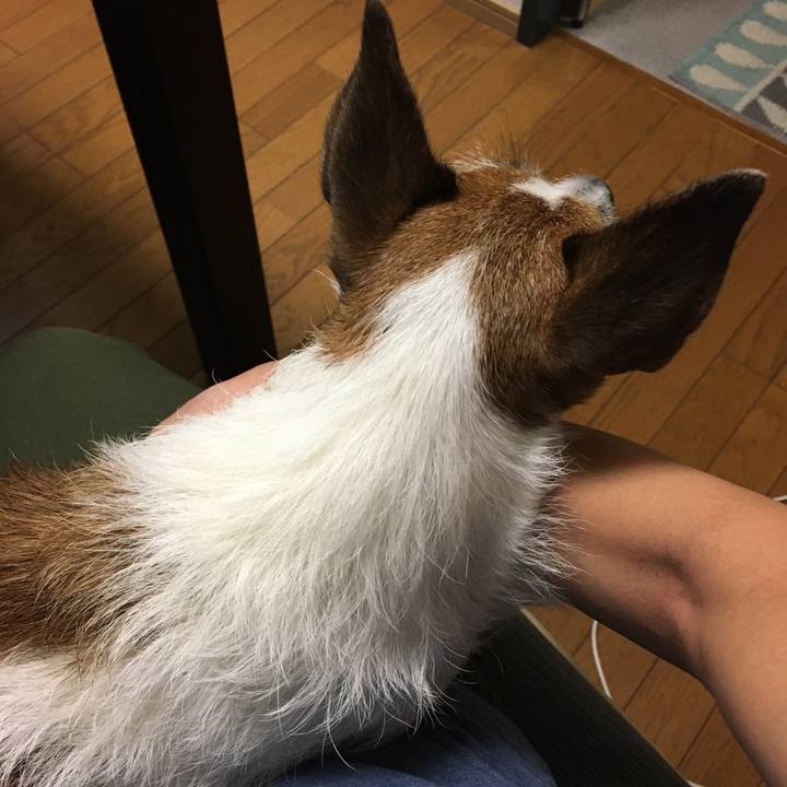 22005174 5c90 492b 818a 32ff0ebfa4a8 1633738363070