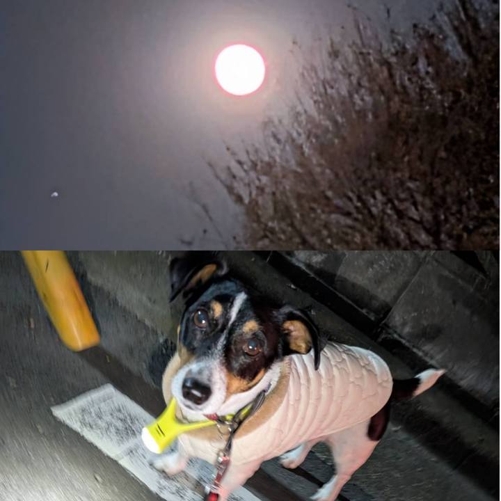 22006229 a2df 4914 8057 582a87d35935 1764937491902