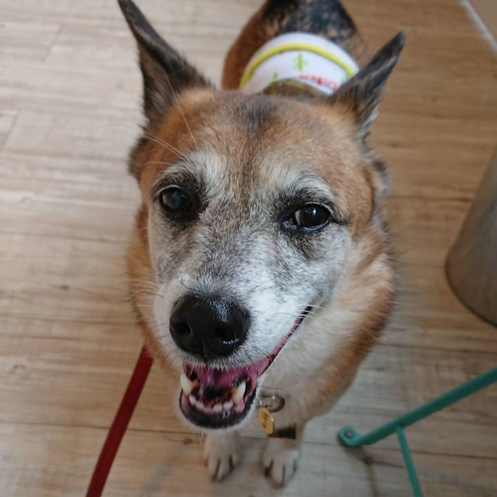 220070b2 1593 4552 9481 71625e37769e 1560159941104