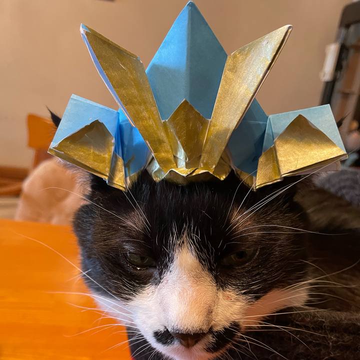 220070d6 829f 4205 9743 69a8ca5dc98c 1745817903109