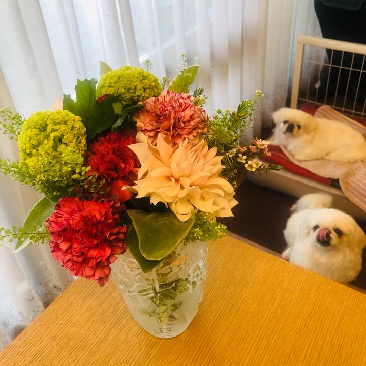 2200a93f 0ce5 4f97 b888 ee61a9f7f239 1619509594937