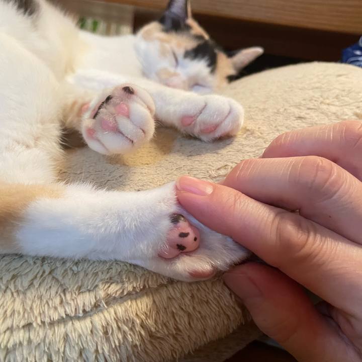 2200ae0d f5c8 4ce4 ba08 52670fe73020 1676896312631