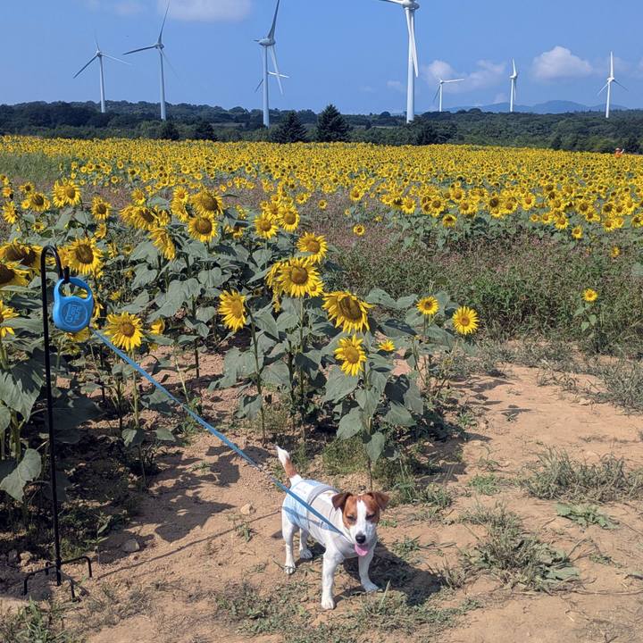 2200e543 5c9a 4e64 ae08 2531bc1370f4 1756184658631