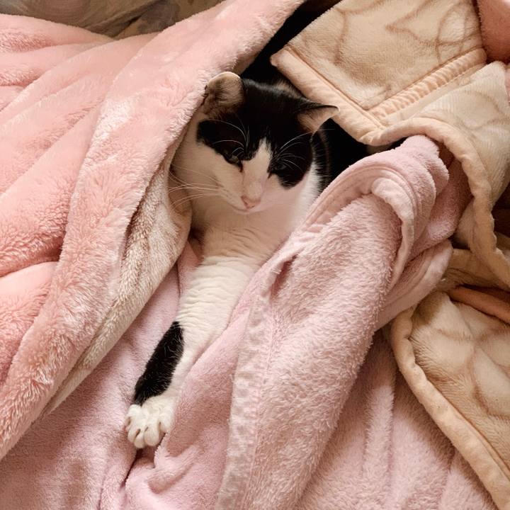 2200f2f8 1370 4044 b605 b8930f7e0b34 1544665877123