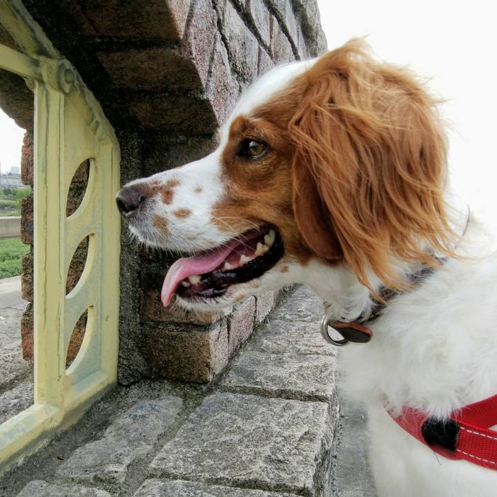 220160ef bcc2 4984 bcbe 8be1821b1e43 1531386478443