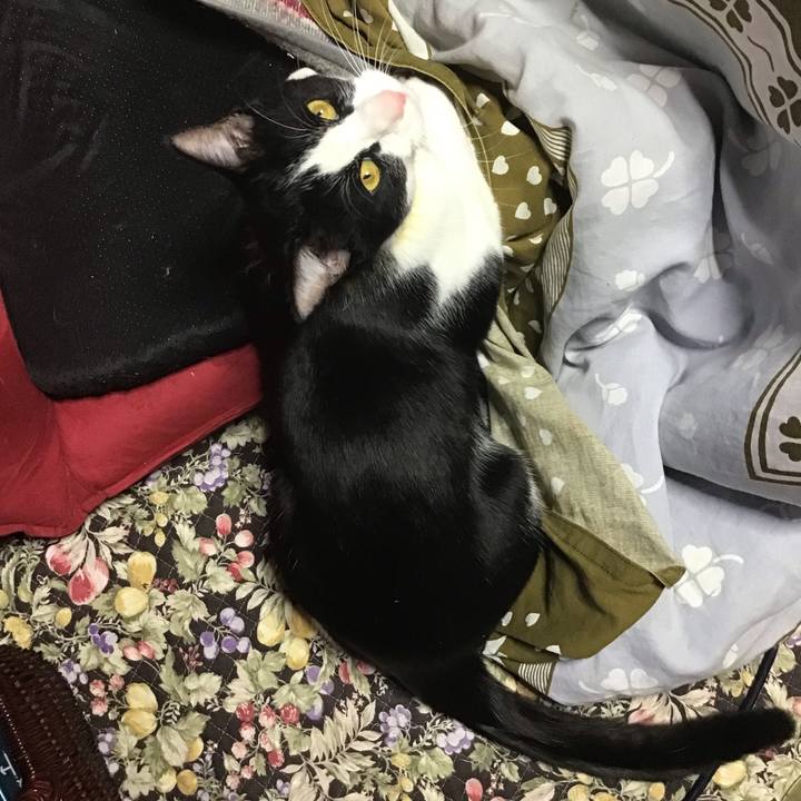 22016d57 1dfc 43e5 ae87 b63db9174466 1649321507167