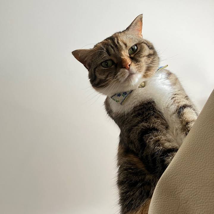 2201d0ee a861 4da9 88e3 2ba359aee2c2 1765159529028