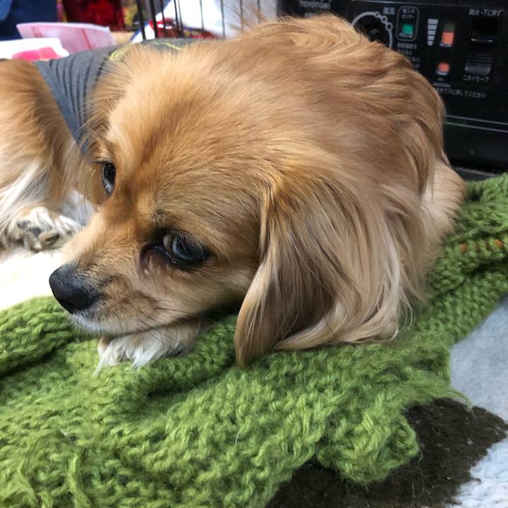 220215f8 e711 494c ac1e 5410f49ad99d 1548367198098