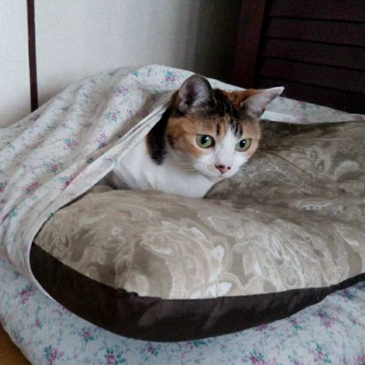 22021a44 a2d2 43ea 9e69 4448af414c18 1608867289591