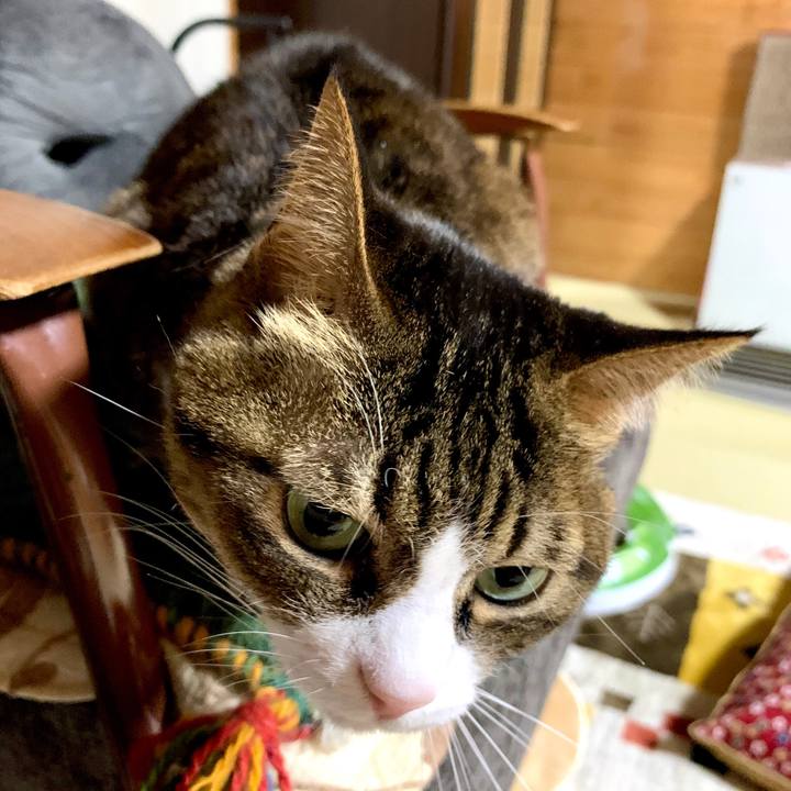 220234e9 6afa 4cfc 87a9 0f7c2a802c7e 1582373406779