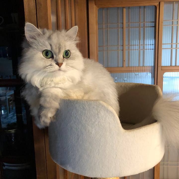 22023911 e26c 460f a269 ebf79ad16325 1562383086045