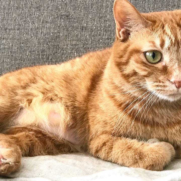 22023d23 8981 4581 b7a4 d25445302e82 1522809872763