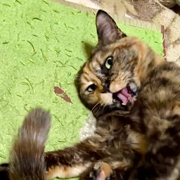 22029176 afe3 40ef 8f67 909cd40d65aa 1736041765246