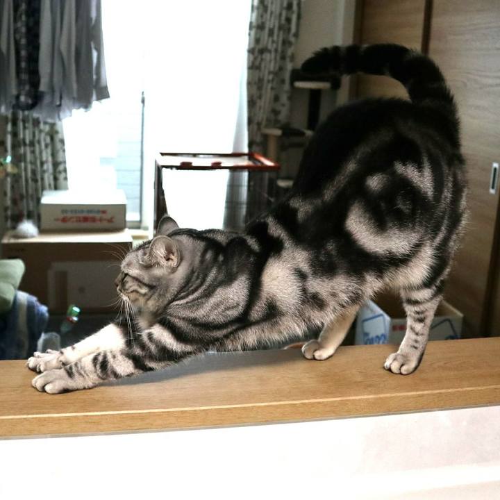 2203237a 16fa 4491 bcd8 27bf8f70db90 1582711835792