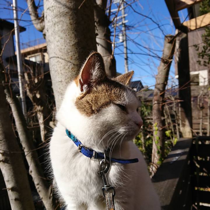 220353ce b733 4471 8211 122c111e0766 1579396473856