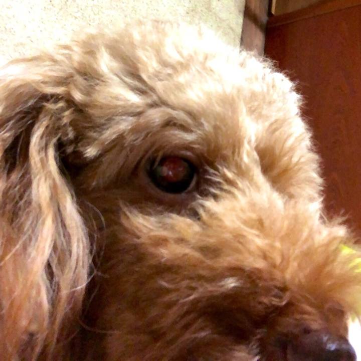 22038ce0 dfc2 4302 bd9a cb8baa9c1c44 1568972989846