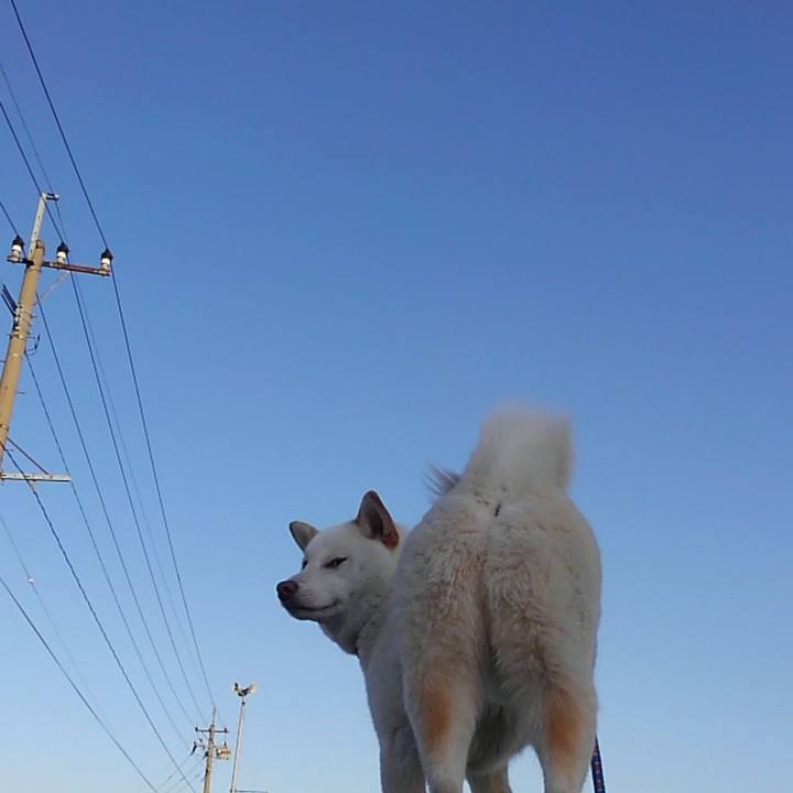 2203c539 188a 4cb5 b7a1 e3ed2a4f68a0 1564814073740