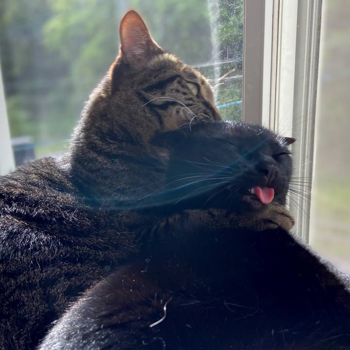 2204579f 5c7d 47a3 b912 01a2e3c4ebfa 1651319156577