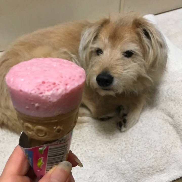 22049d95 89ce 4bb4 b2f6 b320f127d9a8 1549526096935