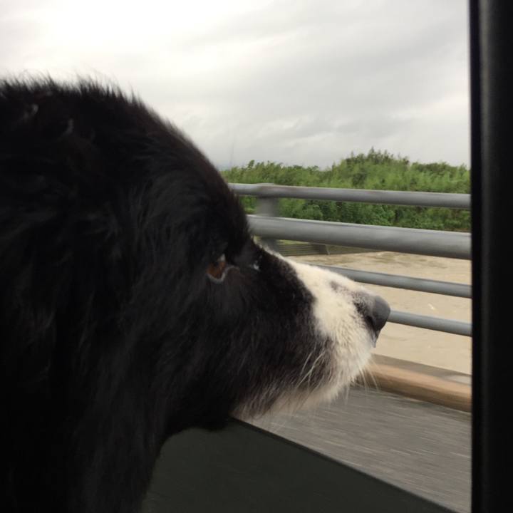 2204b2d7 2df2 43f0 842f 7aa83ed1e6f6 1563707478408