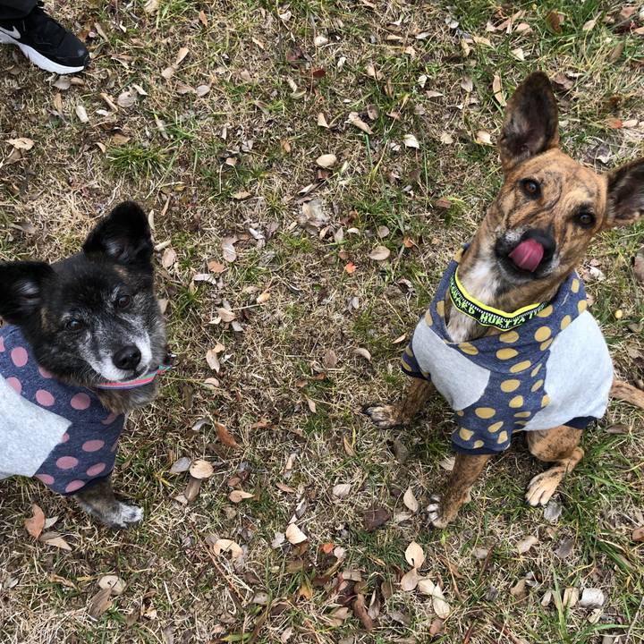 2204c08a 5023 452b 8b5b 1b23f5fd8db9 1644588007070