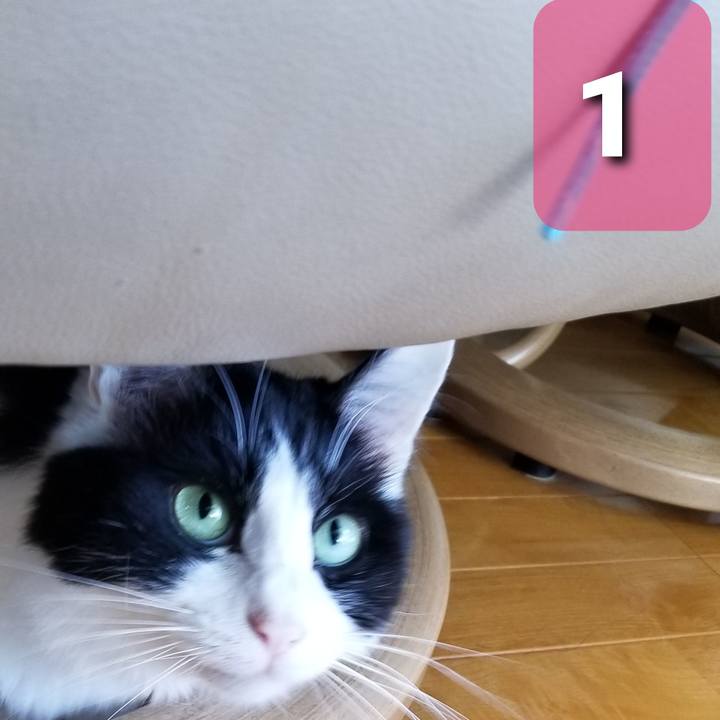 2204d282 f1e4 4651 941d a71eb433e3d3 1580514689315