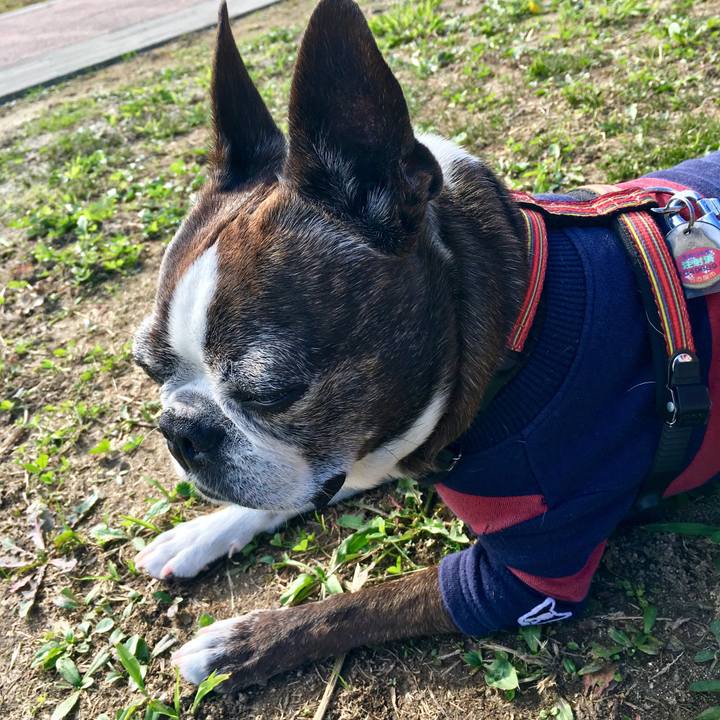 220516a4 3857 4323 99a5 8368b60cd68c 1510033834467