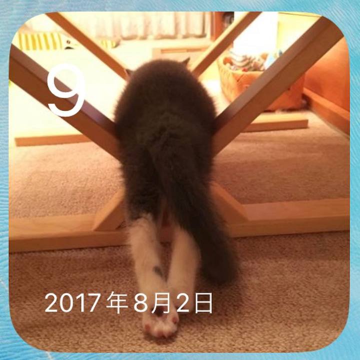 22051cbe 8063 4ec3 bd7f ff8cca99f89c 1691573746297