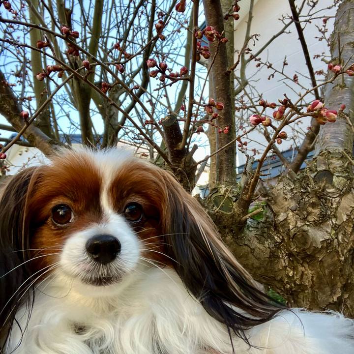 220568a4 39da 4b76 bfff 11d4b53cfe89 1713166756995