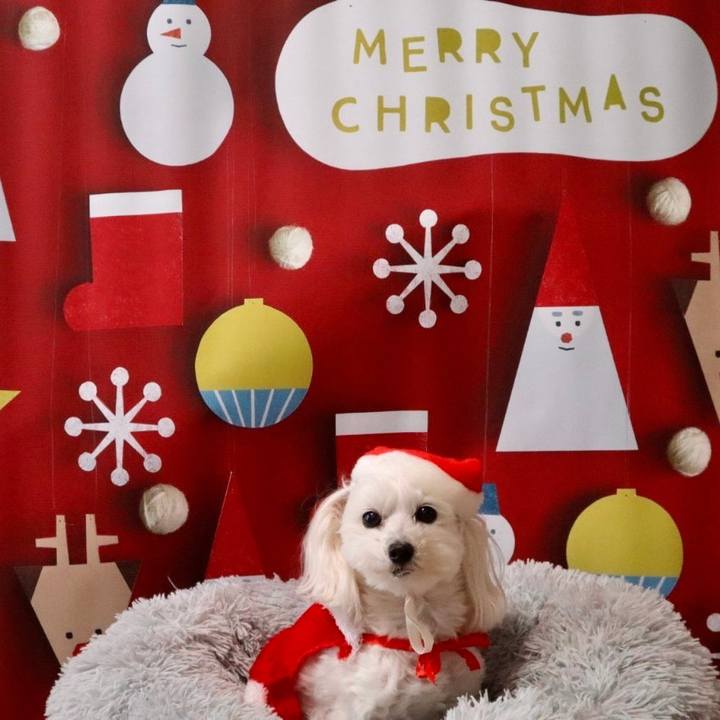 2205a90e 8c5f 4a79 adc6 aea063a56af8 1639920979891