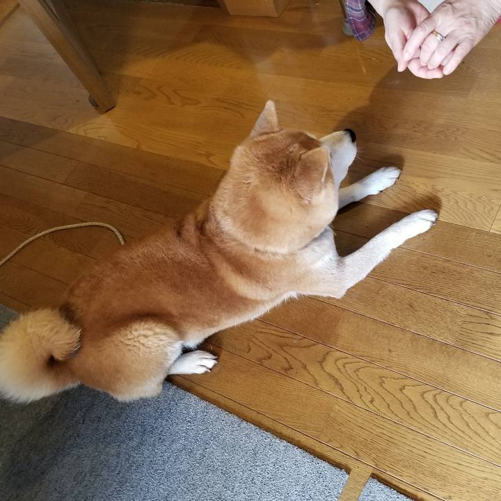 2205e05f 22b3 4da8 8103 8e32abc975c1 1605498249879