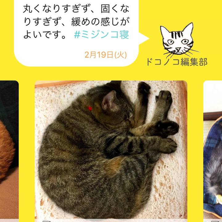 2205e7d1 fd3e 46d3 8550 bcbba2166c8f 1550546505759