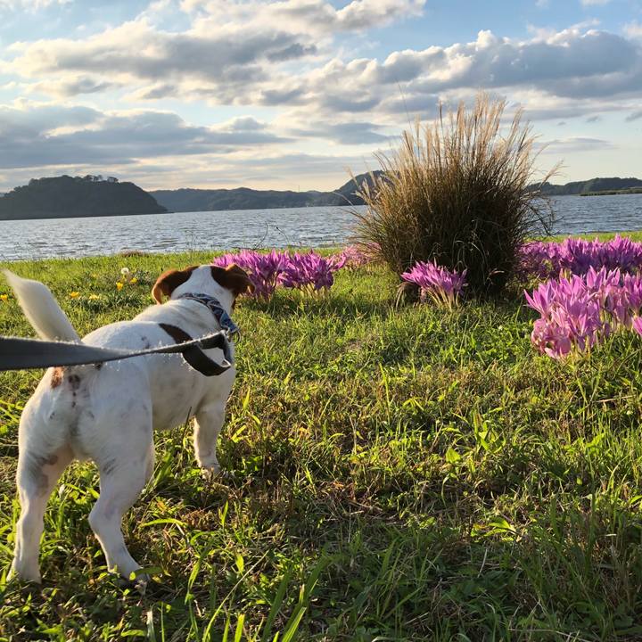 2205ee75 e878 4a10 b7be d4b1f2332b09 1539766232430