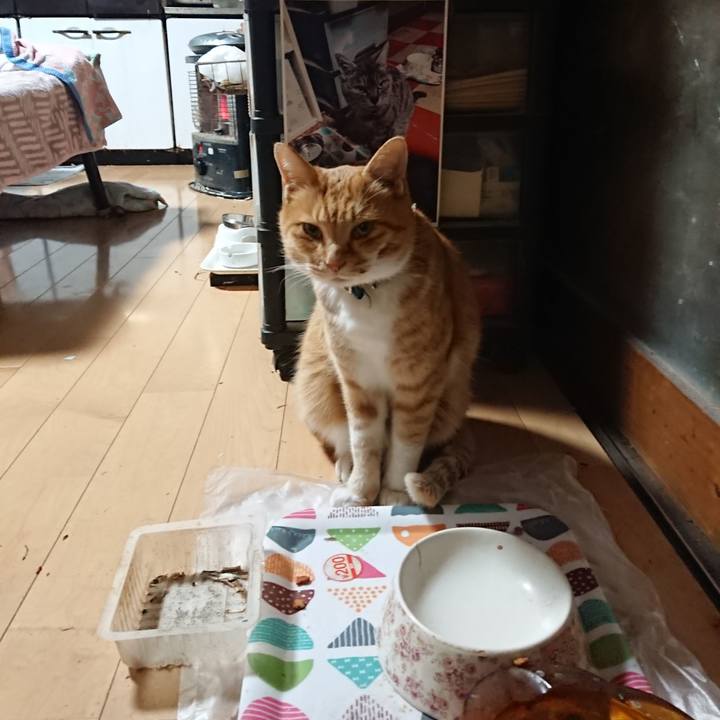 22061644 59e8 44e8 b00e 84a7194a8258 1605643762983