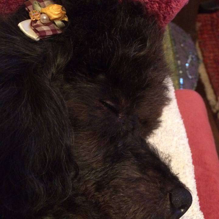 22062e7e 8ccb 4426 8402 2cc5ff0535a6 1537463111961