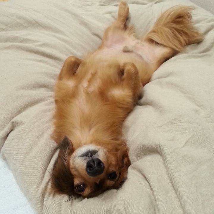 22064502 30a5 47f6 bcbf 39f033366f14 1512341331483