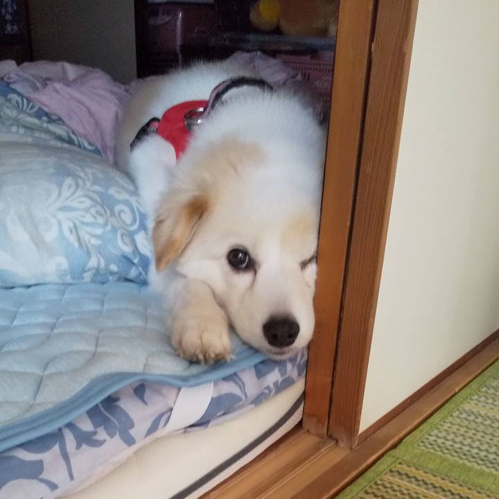 22065074 43c8 4826 b476 336fb5017339 1601464828917