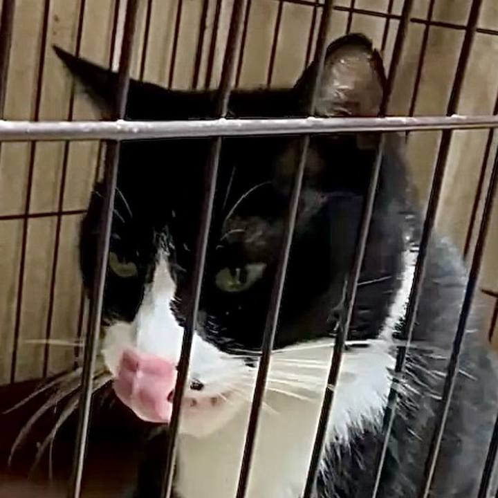 22065e59 ad0b 45c3 a500 532df38c9a35 1759919674959