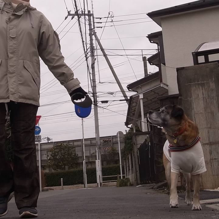 2206ae2e 3790 47d7 8cd4 792679c7096f 1595463871685