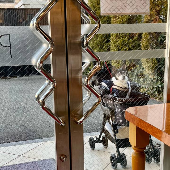 220701ae 55ea 49b4 a2f3 cbaab6022630 1645997924481