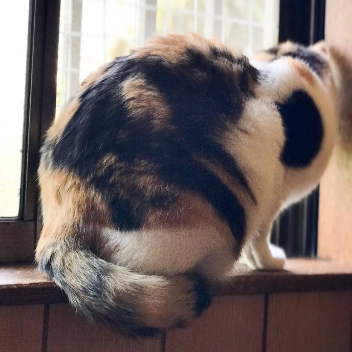 22070f05 505f 4b84 858f 90d62be82fd4 1527474957246