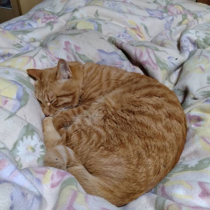 22071576 0d79 4b64 99d4 4b149c1fb361 1670242969583