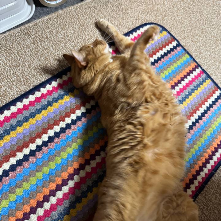 22071727 718a 48ac 9f18 dd62a9c610e3 1763131479873