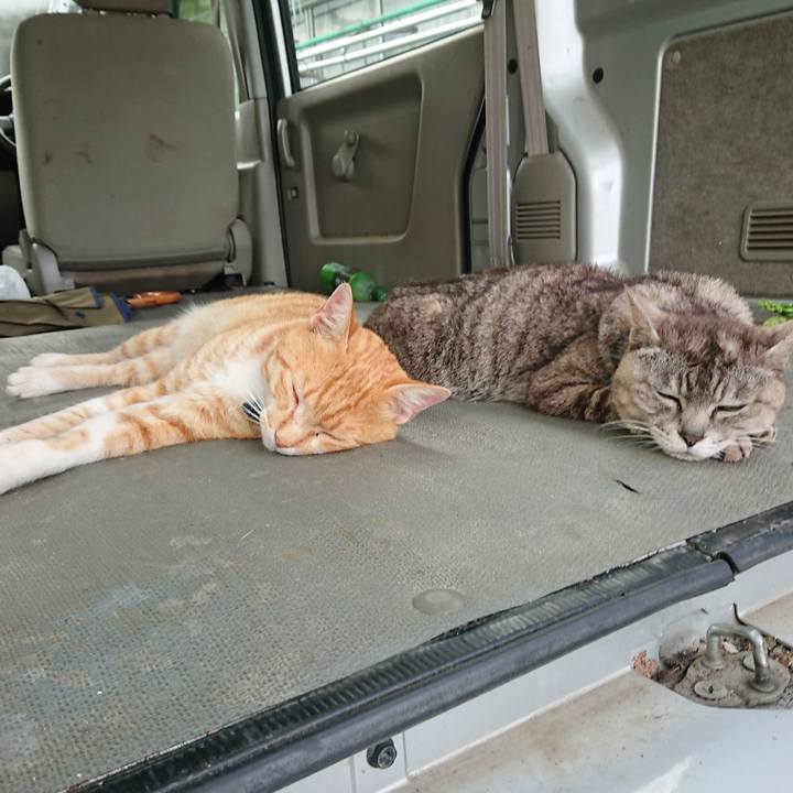 22072cbb 624b 41e3 aa98 6d1d3a4b97b8 1563527431347