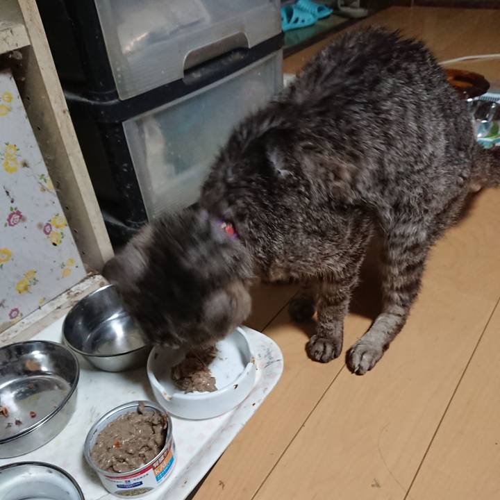 22076a99 53f4 4feb a08c 75a9b8048520 1597176324396